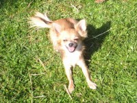 /album/stene-starec/a2007-010-jpg1/